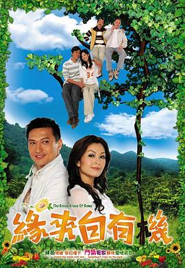 缘来自有机海报
