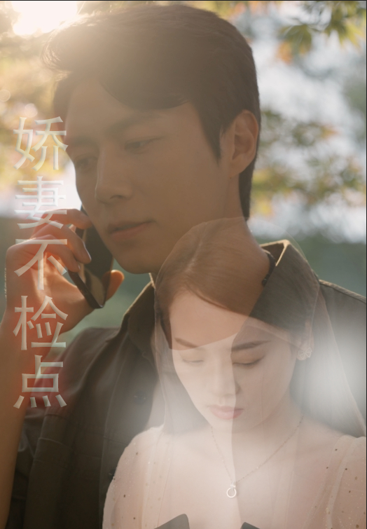 娇妻不检点海报