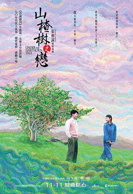 山楂树之恋2025