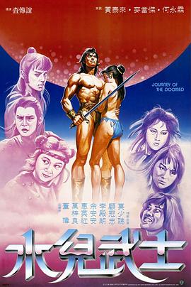 水儿武士1985海报