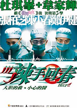 辣手回春()海报