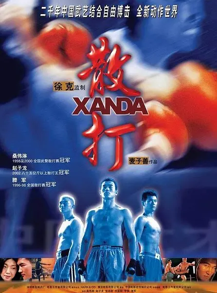散打海报