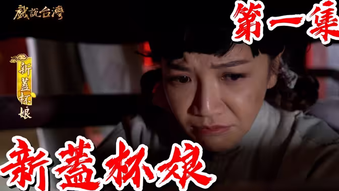 戏说台湾之新盖杯娘海报