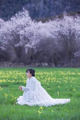 李子柒古香古食全集海报