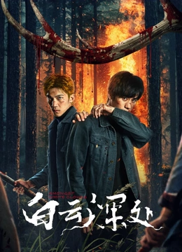 白云深处海报
