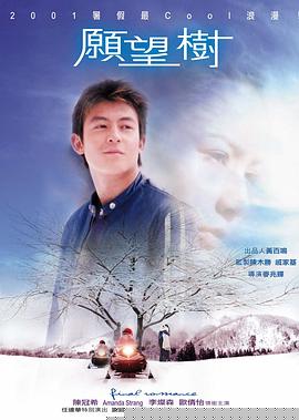 愿望树