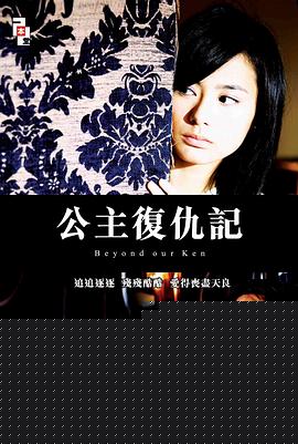 公主复仇记海报