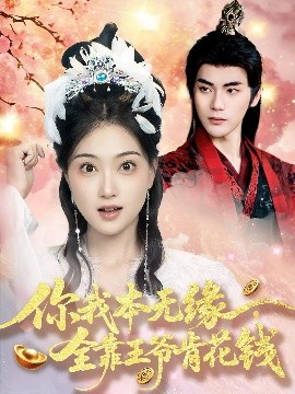 完美先生和差不多小姐印尼语字幕版