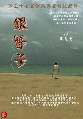银簪子海报