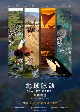 地球脉动：万物有道预告片海报