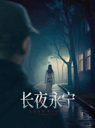 长夜永宁海报