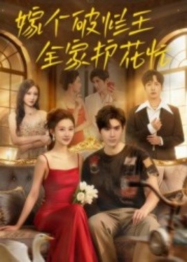 嫁个破烂王，全家护花忙海报