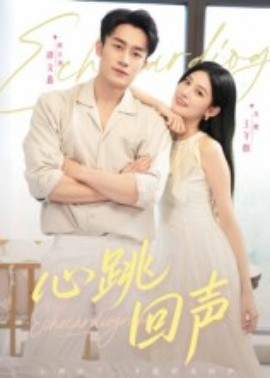 心跳回声海报