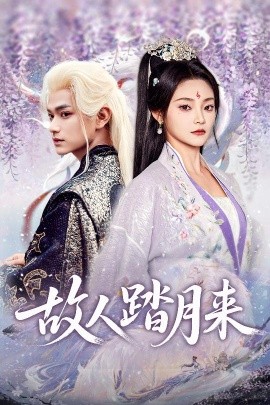 故人踏月来海报