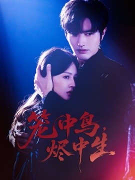 笼中鸟，烬中生海报