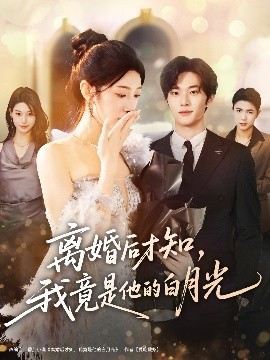 离婚后才知，我竟是他的白月光海报