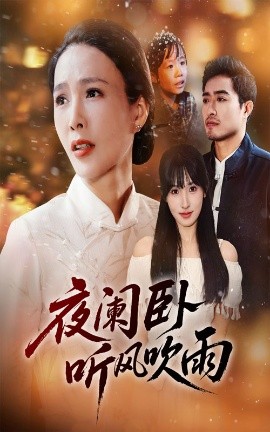 夜阑卧听风吹雨海报