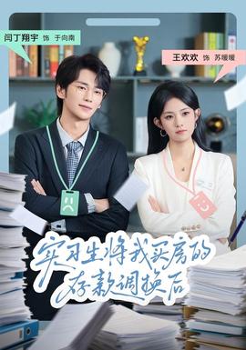 实习生将我买房的存款调换后海报