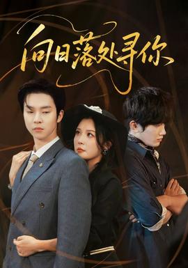 向日落处寻你海报