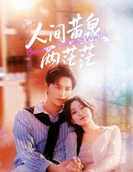 人间黄泉两茫茫海报